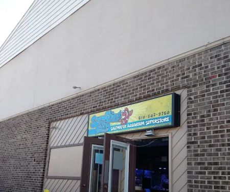 Something Fishy: Saltwater Aquarium Superstore