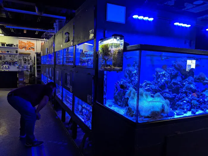 Something Fishy: Saltwater Aquarium Superstore Picture 3