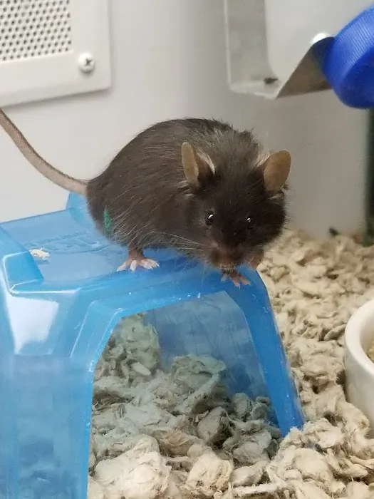 Petco Picture 6
