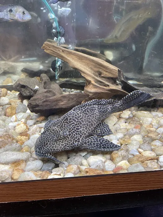 One Fish Two Fish Picture 3
