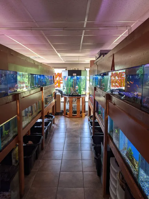 One Fish Two Fish Picture 1