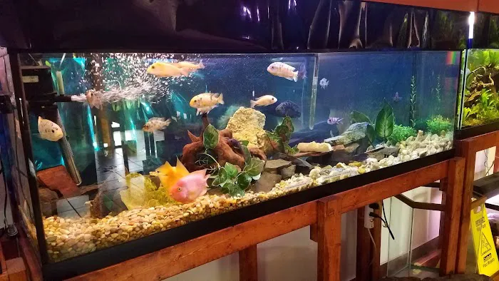 One Fish Two Fish Picture 4