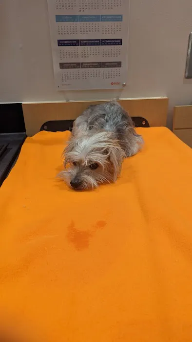 Banfield Pet Hospital Picture 6