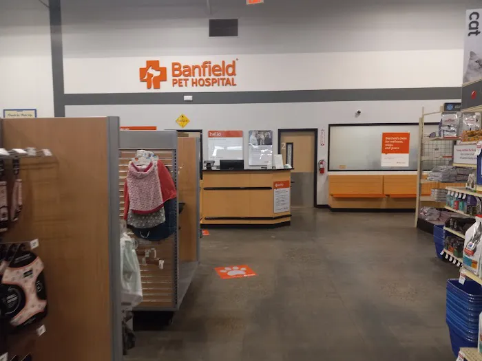 Banfield Pet Hospital Picture 7