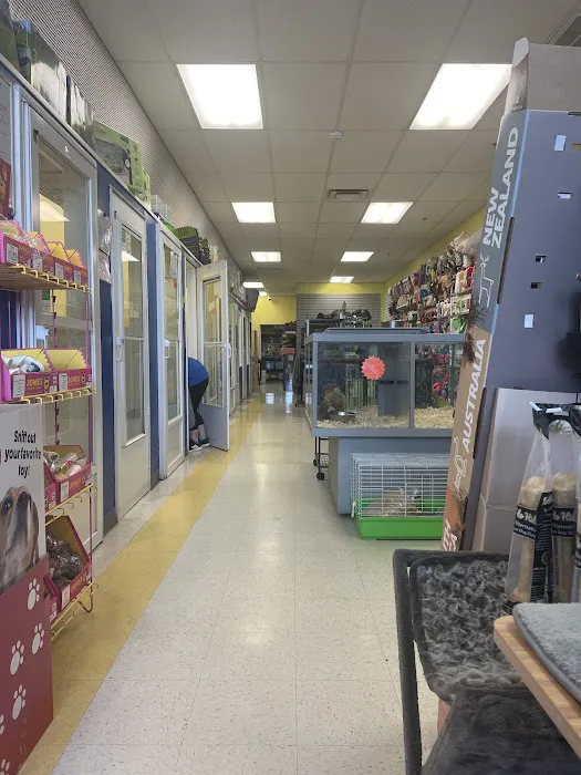 Yuppy Puppy Pet Shop Picture 9