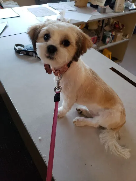 Pocono Creek Pet Center Picture 5