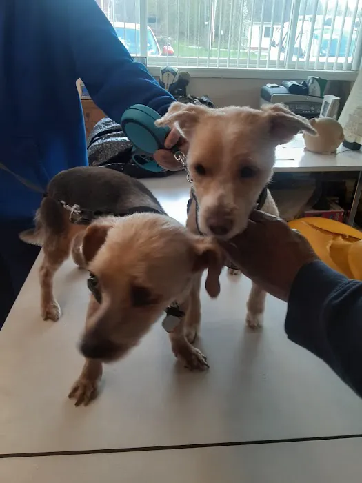 Pocono Creek Pet Center Picture 9