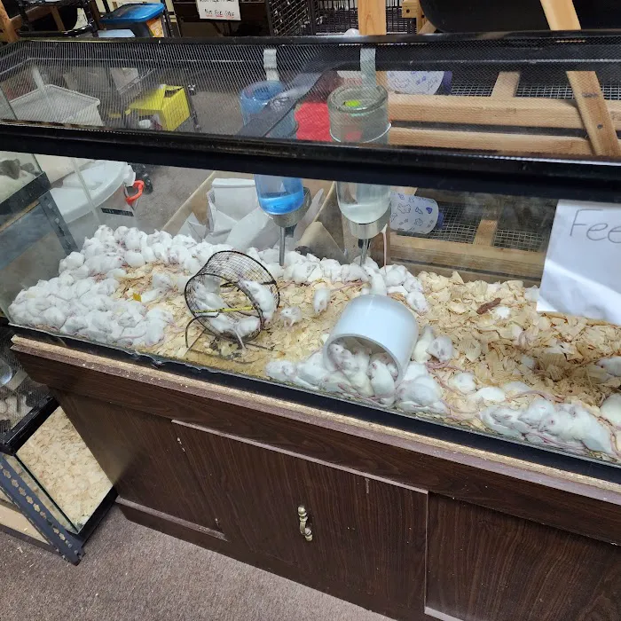 Petfection Exotic Pet Specialist Picture 3