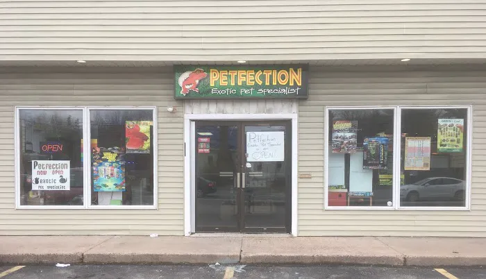 Petfection Exotic Pet Specialist Picture 1