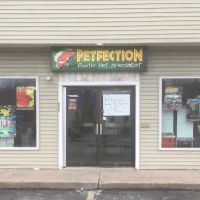 Petfection Exotic Pet Specialist ico