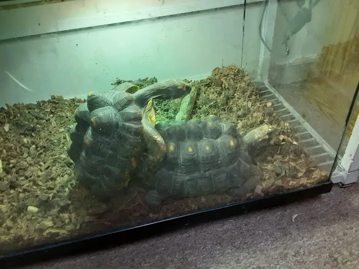 Petfection Exotic Pet Specialist Picture 2