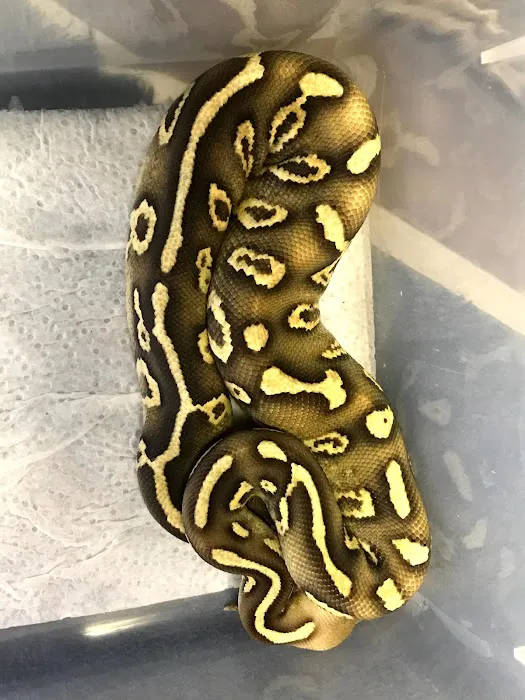 Petfection Exotic Pet Specialist Picture 4