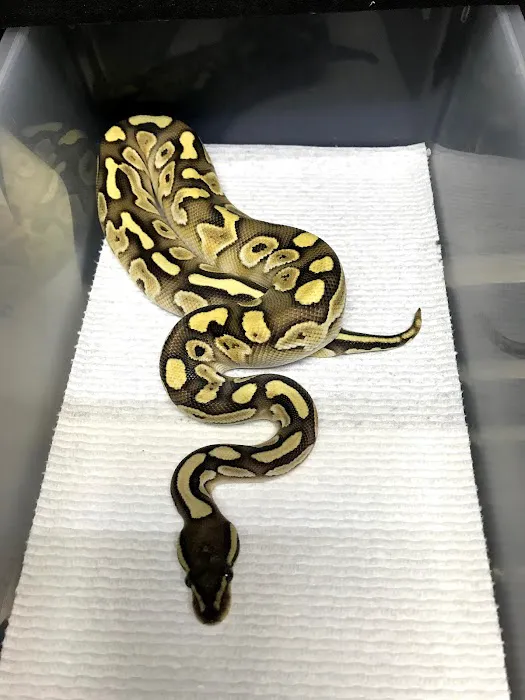 Petfection Exotic Pet Specialist Picture 7