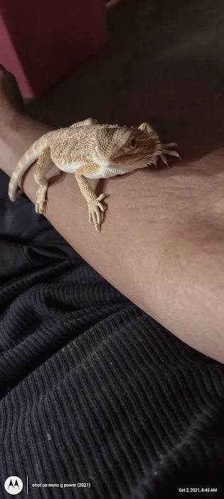 Petfection Exotic Pet Specialist Picture 10