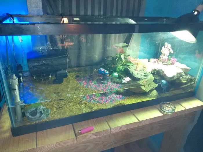 Petfection Exotic Pet Specialist Picture 9