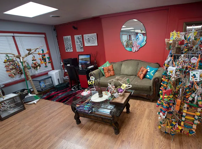 Anas Parrots and Supplies Picture 3
