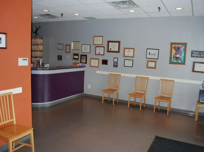 Foxmoor Animal Hospital Picture 9