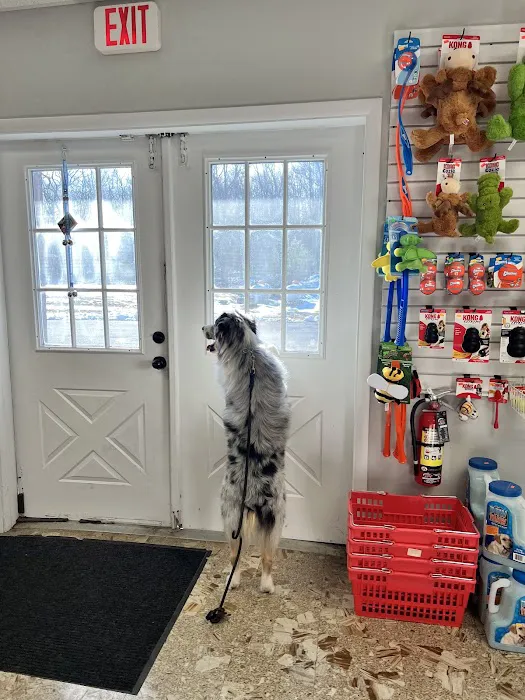 Precious Paws Pet Food & Supplies LLC Picture 2