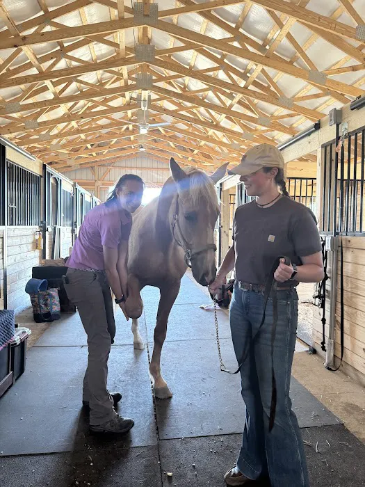 Walnridge Equine Clinic Picture 2