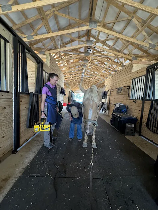 Walnridge Equine Clinic Picture 4