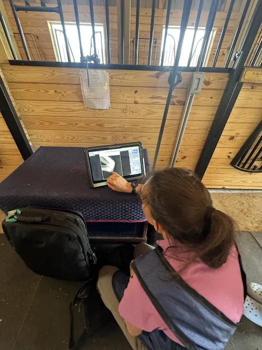 Walnridge Equine Clinic Picture 7