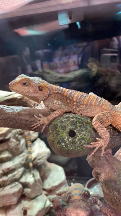 Trinity Pet Picture 10