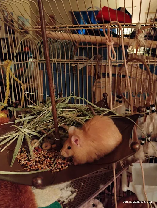 Trinity Pet Picture 8