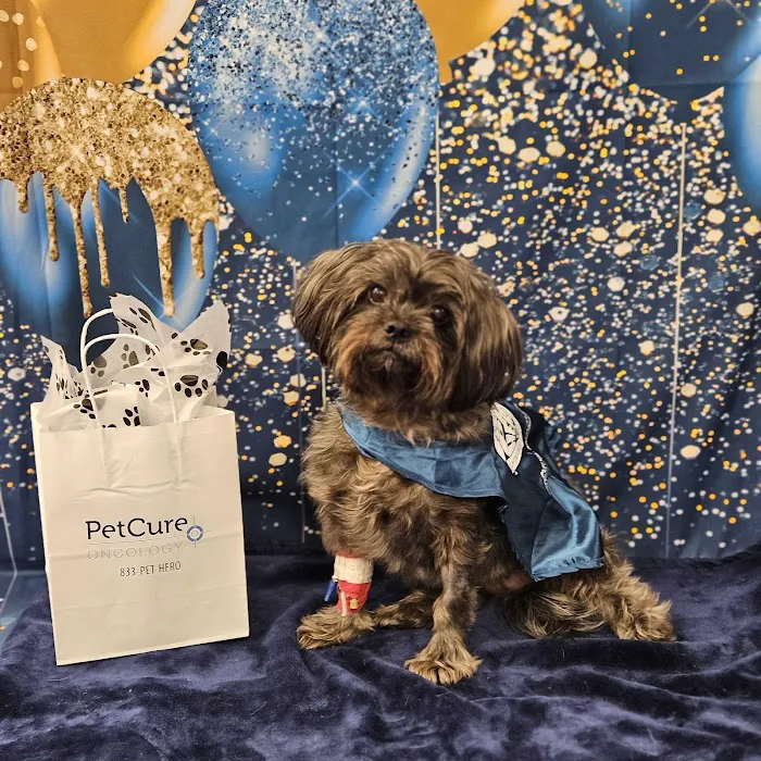 PetCure Oncology Robbinsville - Advanced Cancer Treatments for Cats & Dogs Picture 2