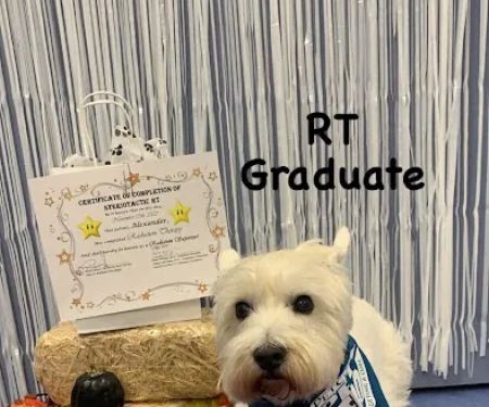 PetCure Oncology Robbinsville - Advanced Cancer Treatments for Cats & Dogs