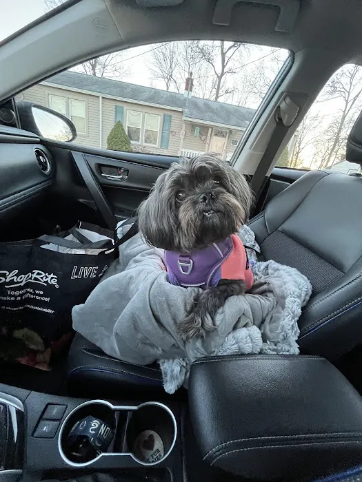 PetCure Oncology Robbinsville - Advanced Cancer Treatments for Cats & Dogs Picture 9