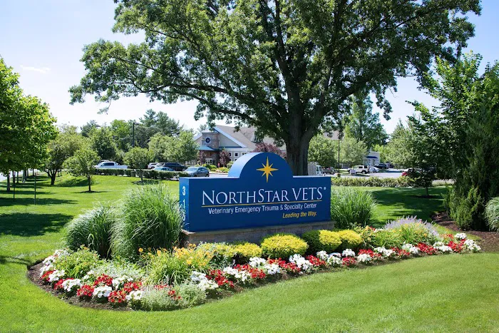 NorthStar VETS Picture 3