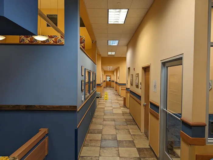 NorthStar VETS Picture 2