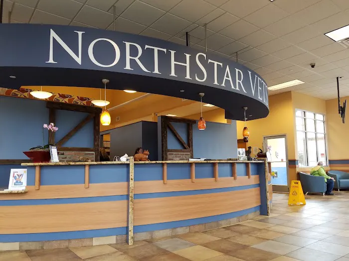 NorthStar VETS Picture 7