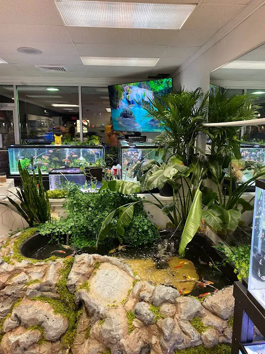 Go Fish A Fish Store & More Picture 2