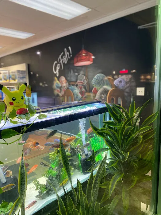 Go Fish A Fish Store & More Picture 4
