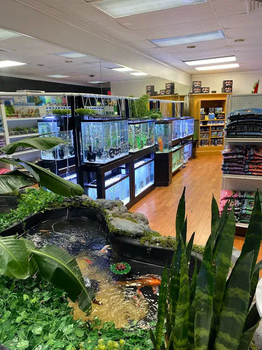 Go Fish A Fish Store & More Picture 5