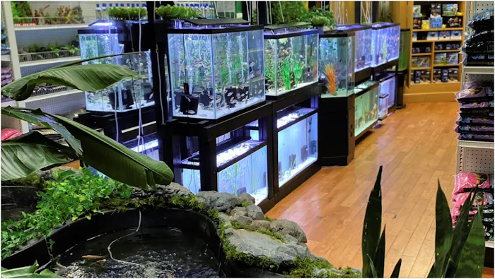 Go Fish A Fish Store & More Picture 3