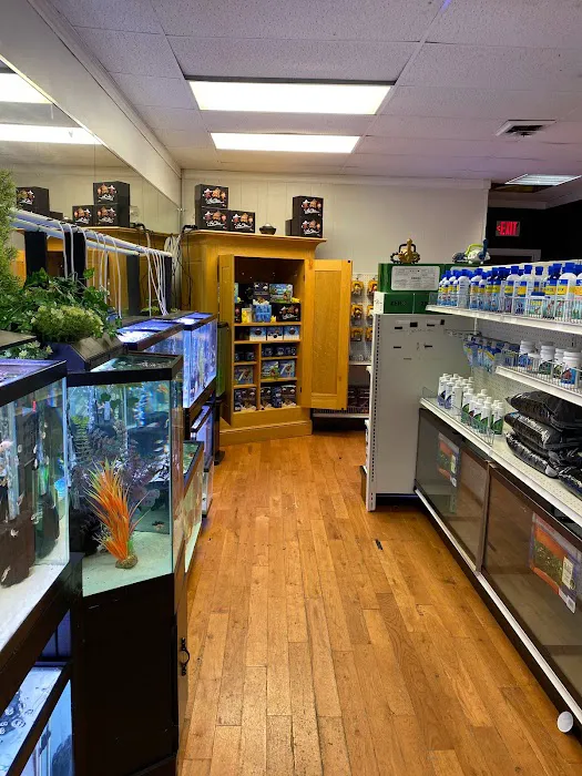 Go Fish A Fish Store & More Picture 1