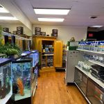 Go Fish A Fish Store & More