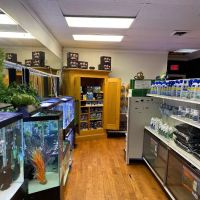 Go Fish A Fish Store & More ico