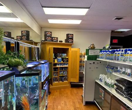 Go Fish A Fish Store & More