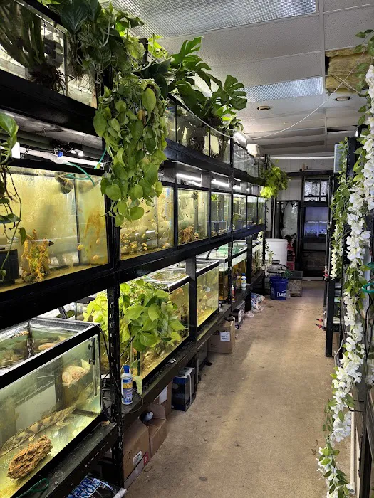 Go Fish A Fish Store & More Picture 6