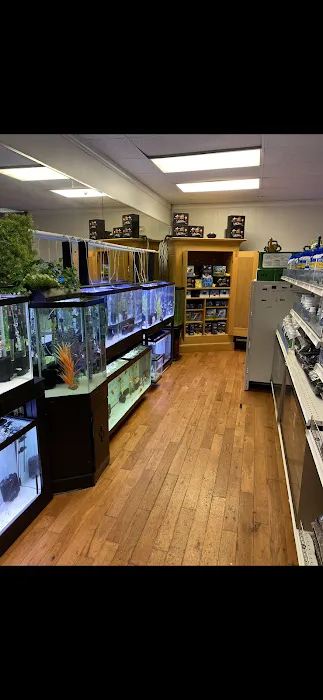 Go Fish A Fish Store & More Picture 10