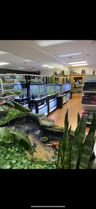 Go Fish A Fish Store & More Picture 9