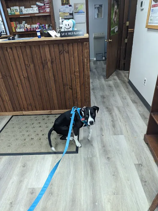 Robbinsville Veterinary Clinic: Swiderski Edward VMD Picture 7