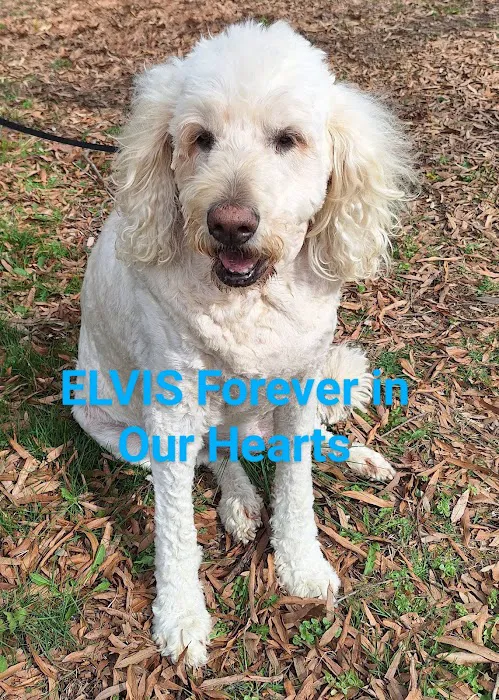 Robbinsville Veterinary Clinic: Swiderski Edward VMD Picture 5