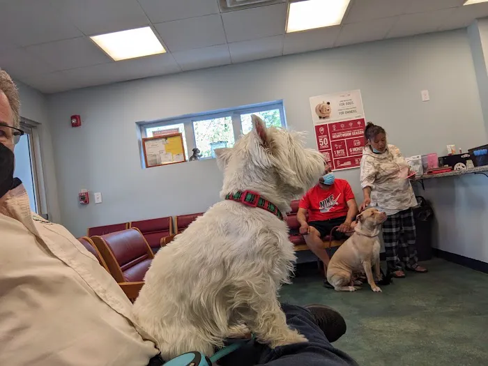 People For Animals Inc Picture 7