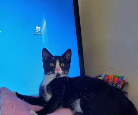 Petco