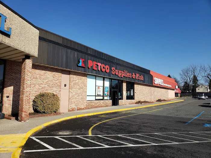 Petco Picture 3