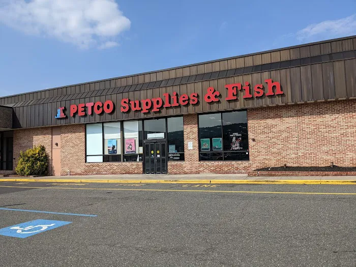 Petco Picture 4
